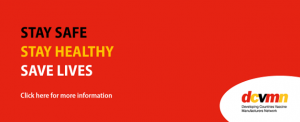 DCVMN Webinar - January 21st 2021: A Novel Method for Rapidly Assessing Potency of Measles and Rubella Vaccines
