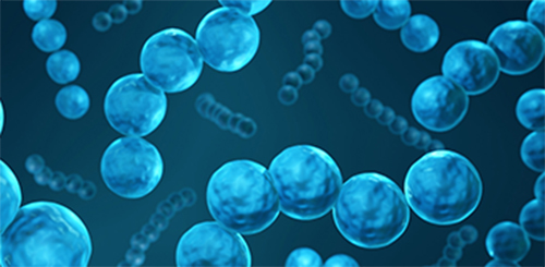 30-Minute Highly Multiplexed VaxArray Immunoassay for Pneumococcal Vaccine Antigen