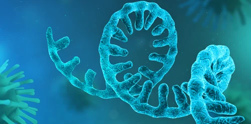 How Can Rapid mRNA Quantification Enhance Multivalent Vaccine Development?